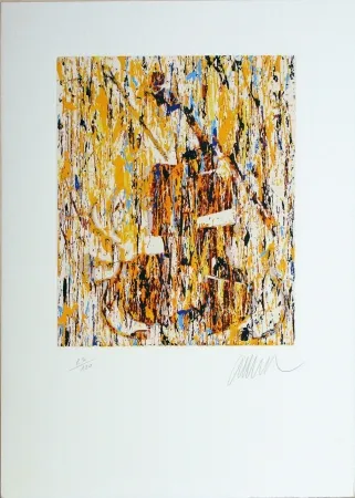 Сериграфия Arman - VIOLINO