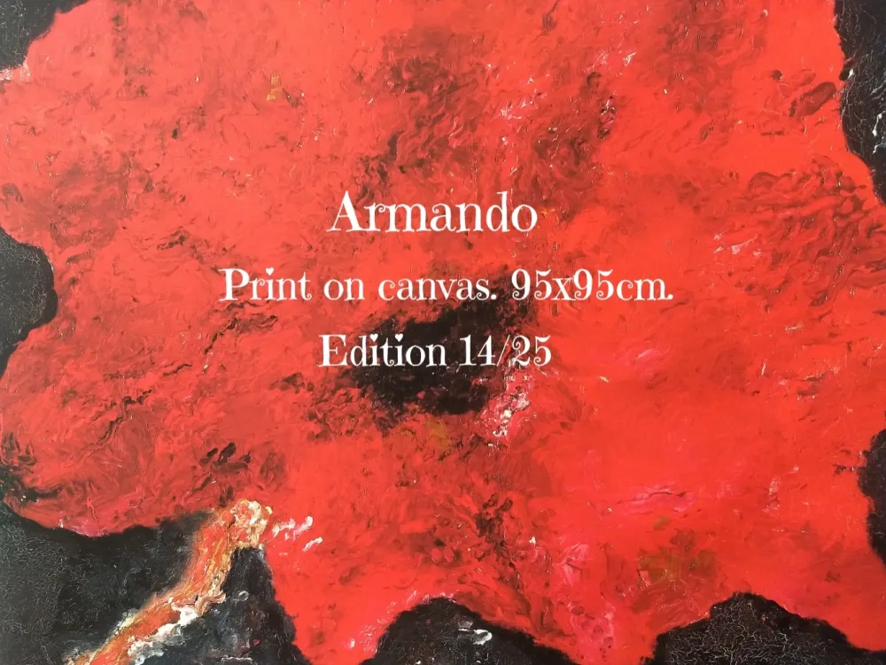 Нет Никаких Технических Armando - Print on cavas