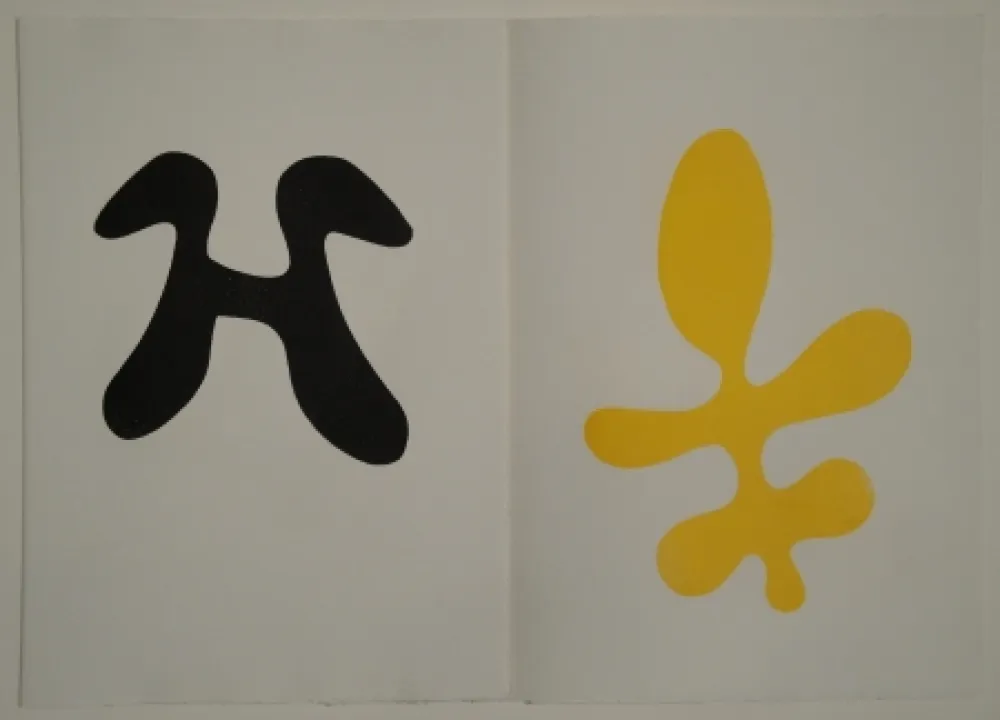 Иллюстрированная Книга Arp - Elemente