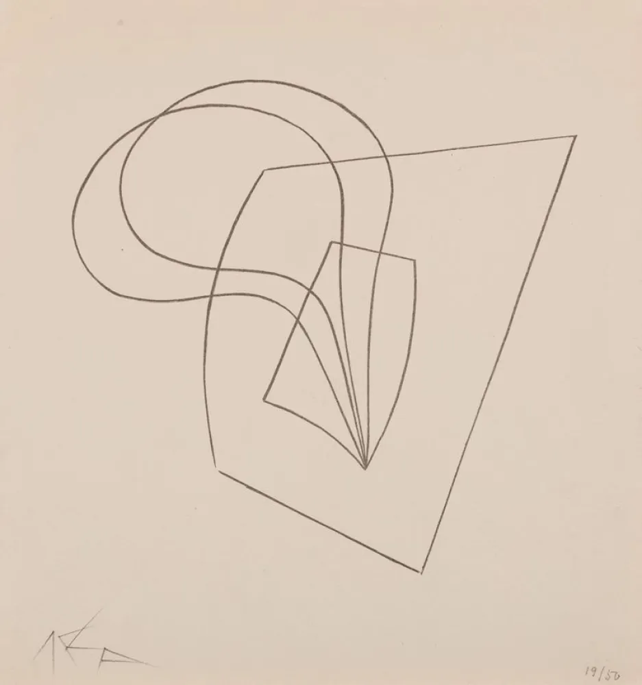 Литография Arp - Pflanzlich-architektonische