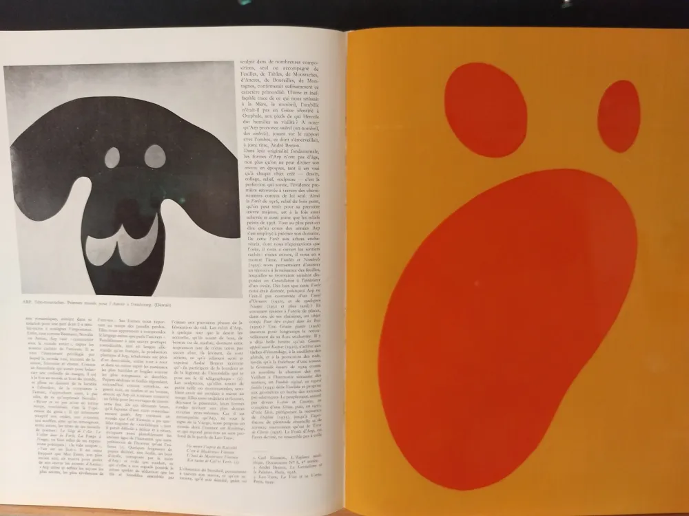 Иллюстрированная Книга Arp - Xxe No 11