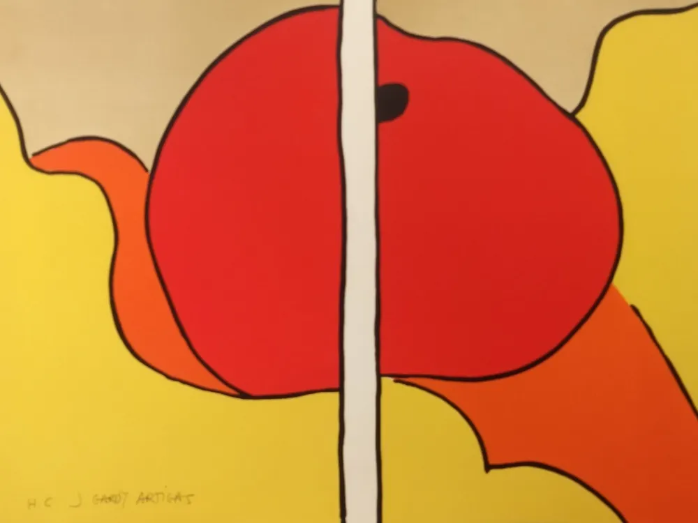 Литография Artigas - Litho HC