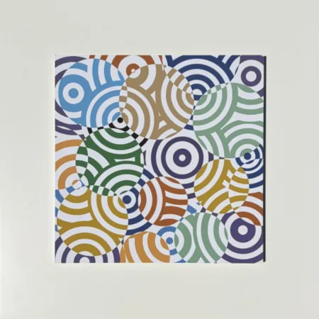 Многоэкземплярное Произведение Asis - Interferences cercles de couleurs Gris Rouge Arc en Ciel