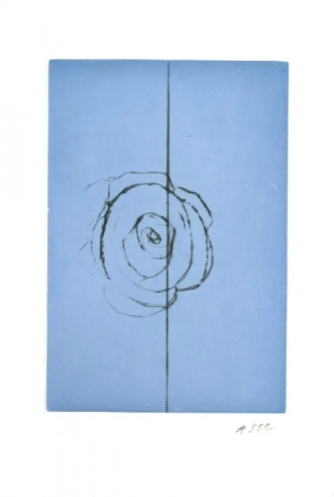 Офорт И Аквитанта Asse - La fabrique des fleurs