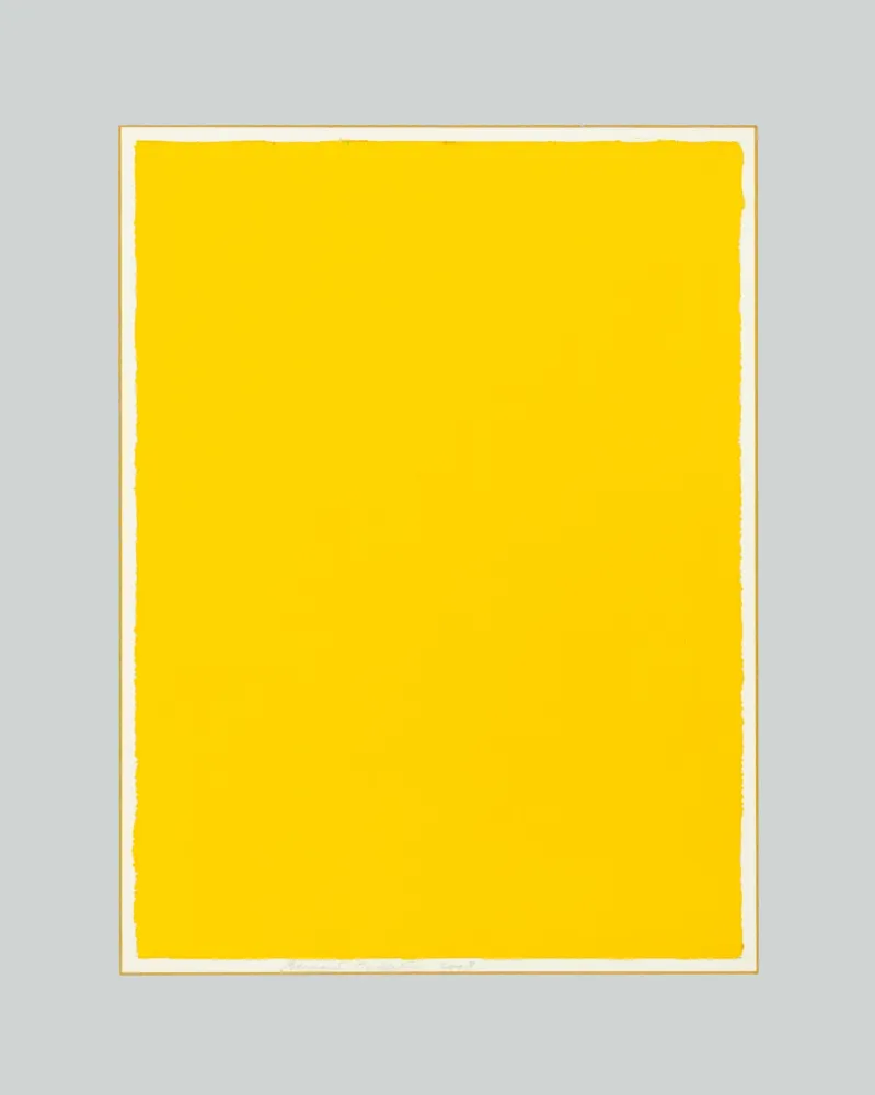 Нет Никаких Технических Aubertin - Monocromo giallo