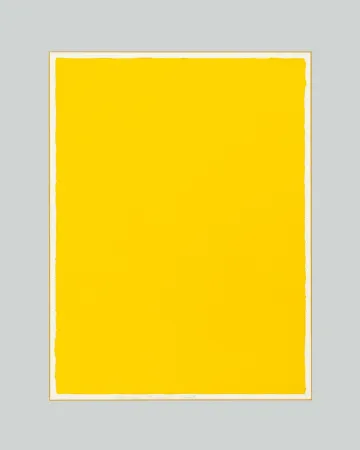 Нет Никаких Технических Aubertin - Monocromo giallo