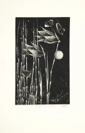 Акватинта Avati - Les papillons de Nagasaki