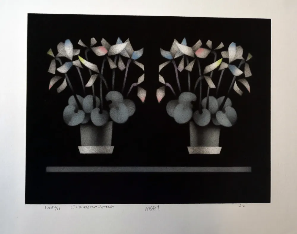 Mezzotint Avati - Ou l'enverse vaut l'endroit