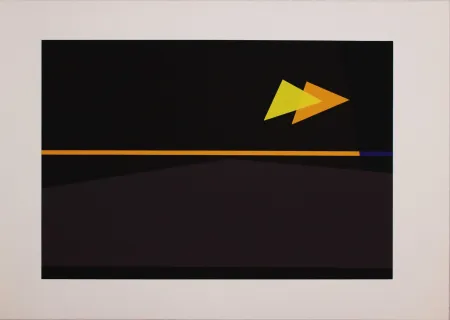 Сериграфия Badiali - Sei fasi progressive di verticalità elastica