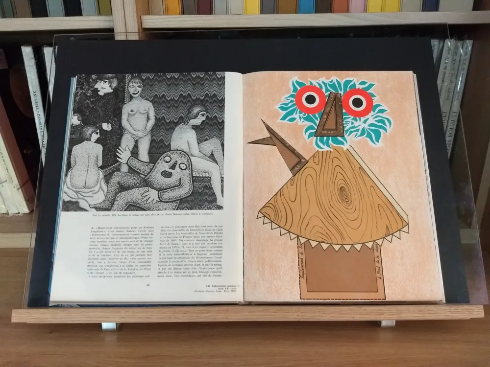 Иллюстрированная Книга Baj - No 44