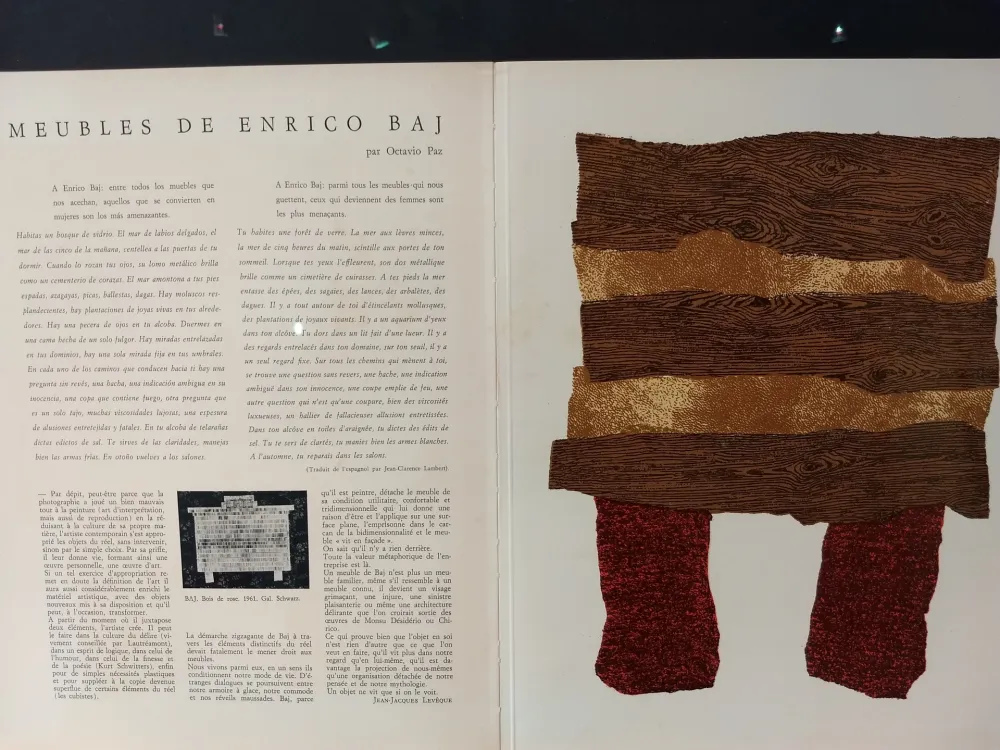 Иллюстрированная Книга Baj - Xxe No 20