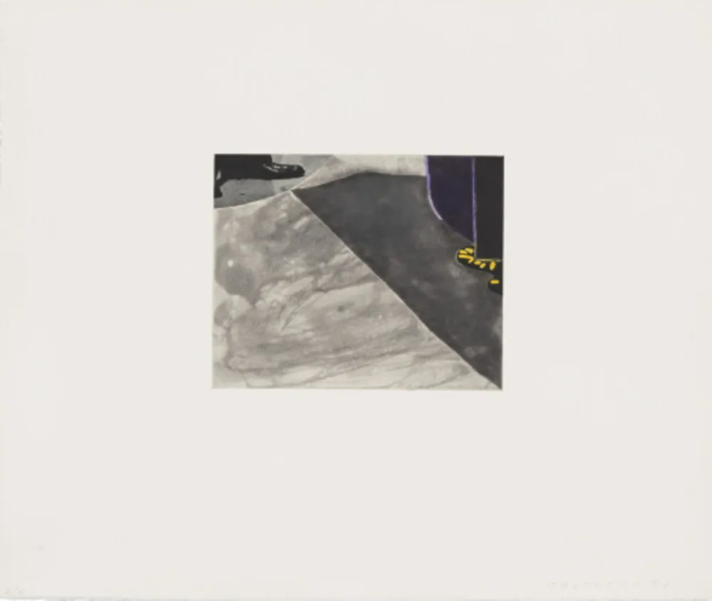 Офорт И Аквитанта Baldessari - Black Dice 7