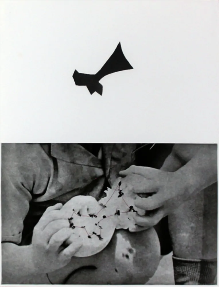 Офорт И Аквитанта Baldessari - Seeds