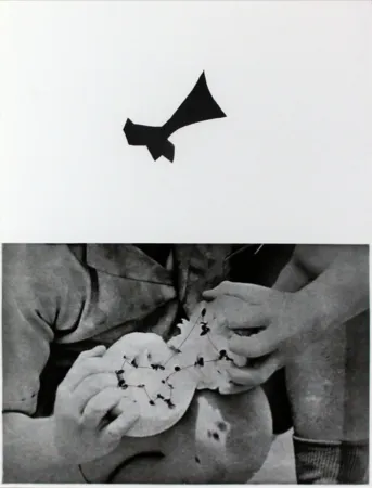 Офорт И Аквитанта Baldessari - Seeds