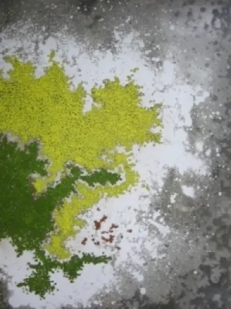 Гравюра Ballif - LeVenez