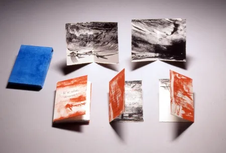 Литография Baltazar - Je te salue démente!