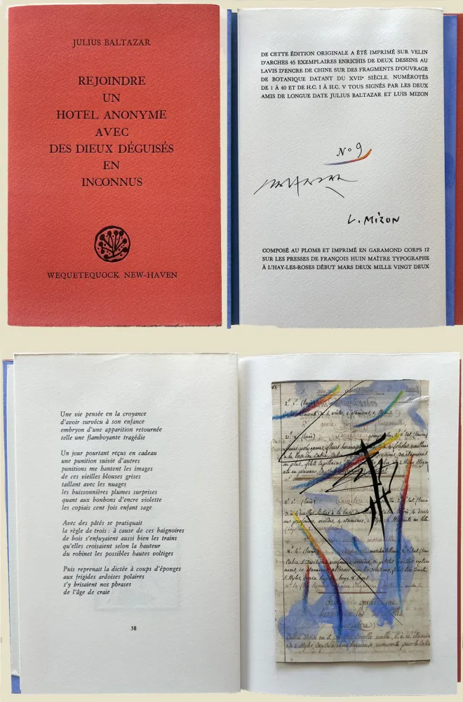 Монотип Baltazar - (Luis Mizón) REJOINDRE UN HOTEL ANONYME AVEC DES DIEUX DÉGUISÉS EN INCONNUS (2022)‎