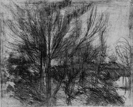 Офорт Barbisan - Alberi