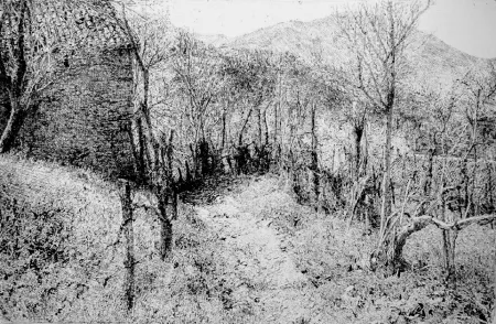 Офорт Barbisan - Paesaggio in collina