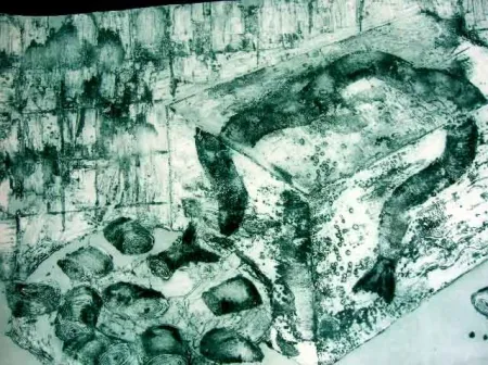 Карборунд Barcelo - ANGUILAS