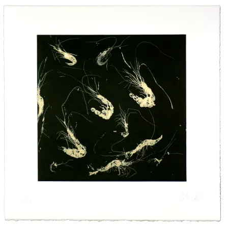 Акватинта Barcelo - Crevette dans tous les états