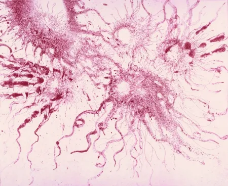 Офорт И Аквитанта Barcelo - Lanzarote 20