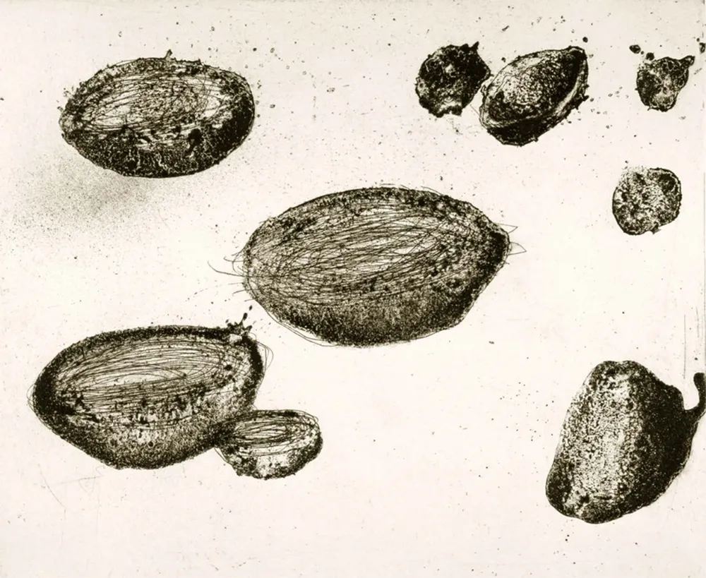 Офорт И Аквитанта Barcelo - Lanzarote 22