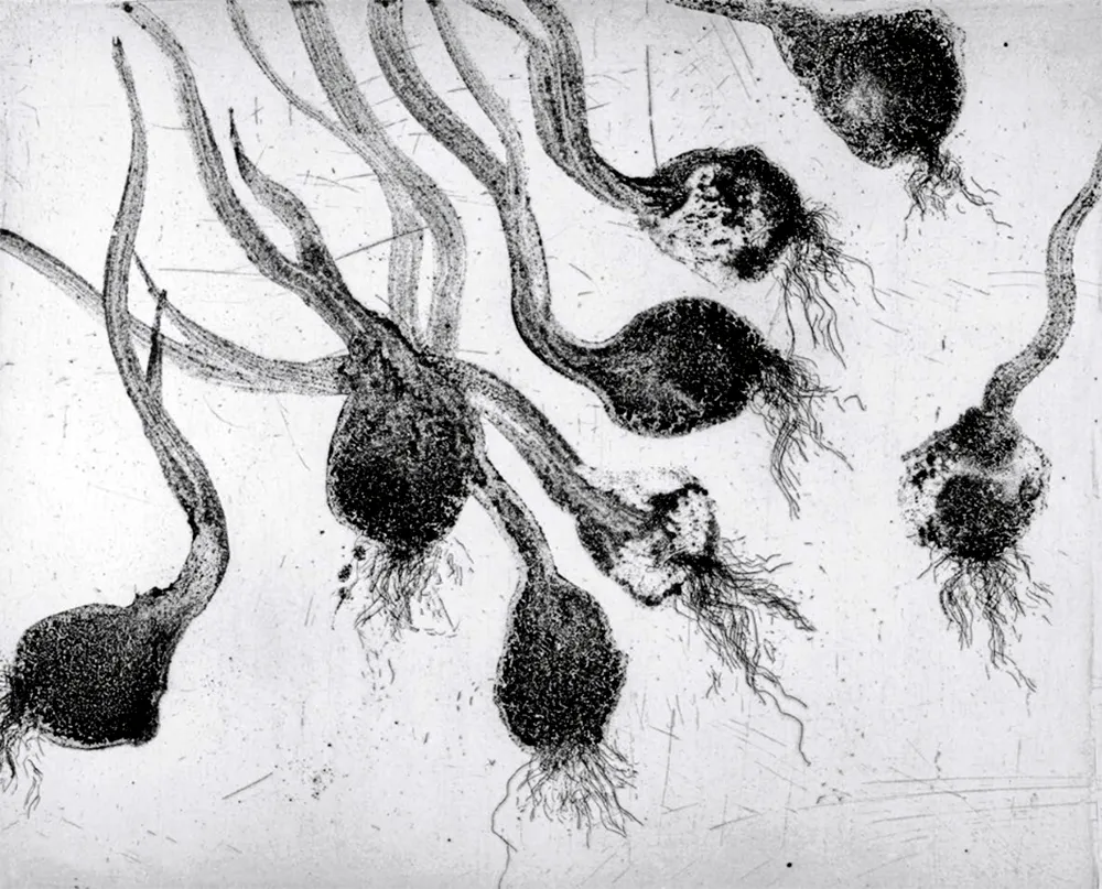 Офорт И Аквитанта Barcelo - Lanzarote 24