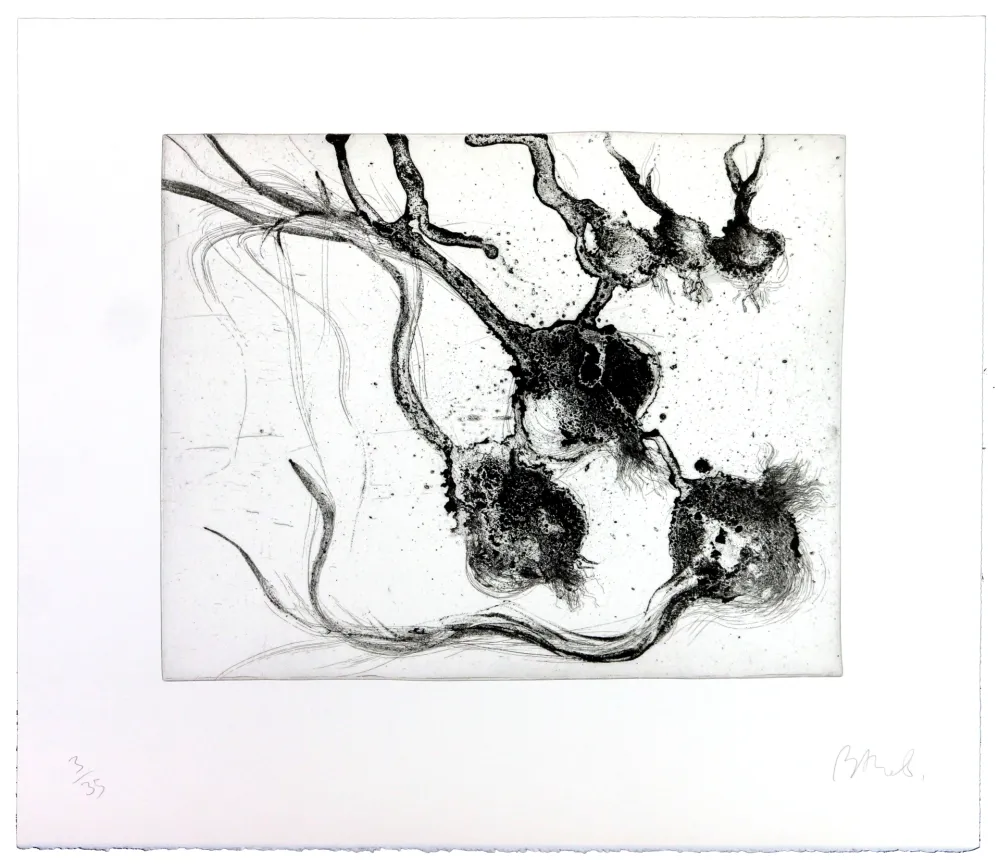 Гравюра Barcelo - Lanzarote 25