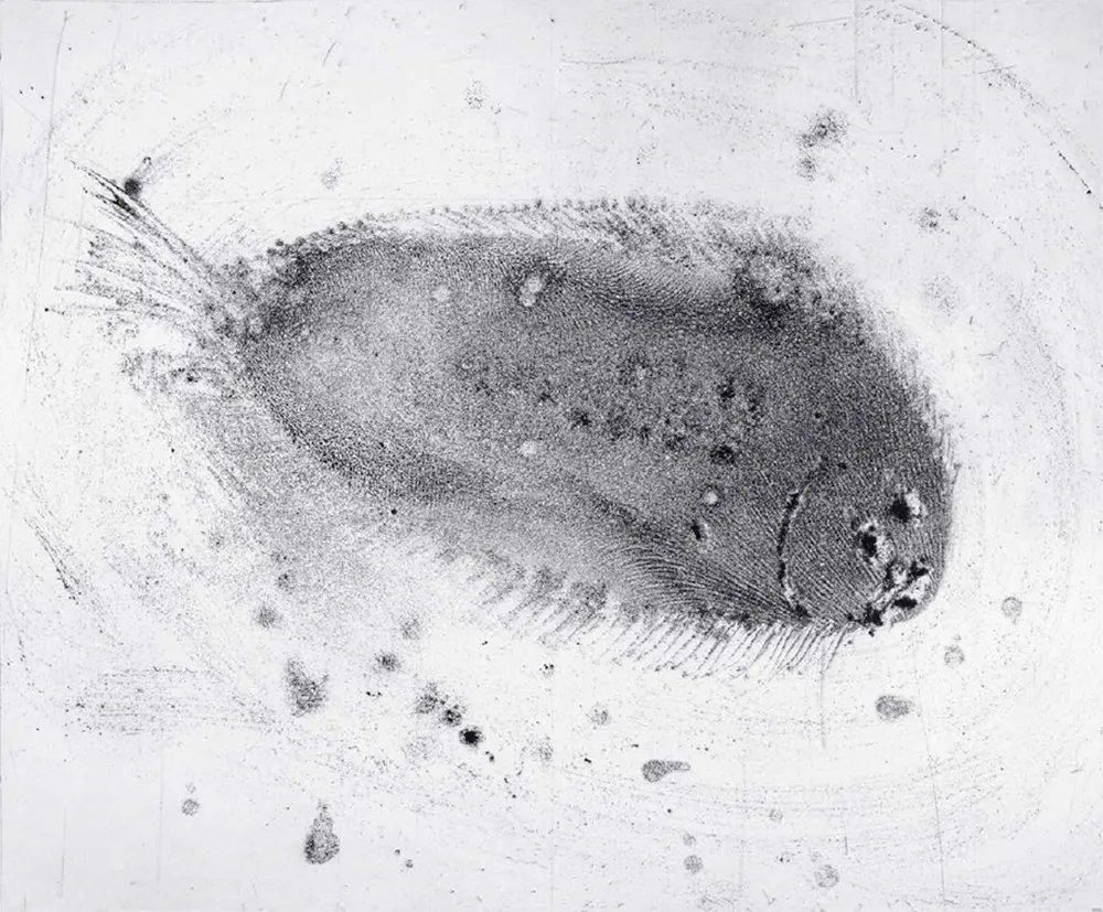 Офорт И Аквитанта Barcelo - Lanzarote 39