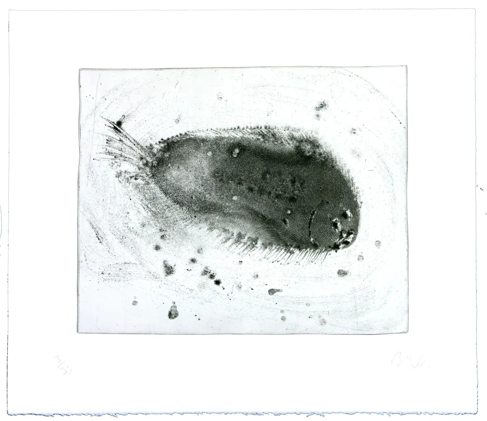 Гравюра Barcelo - Lanzarote 39