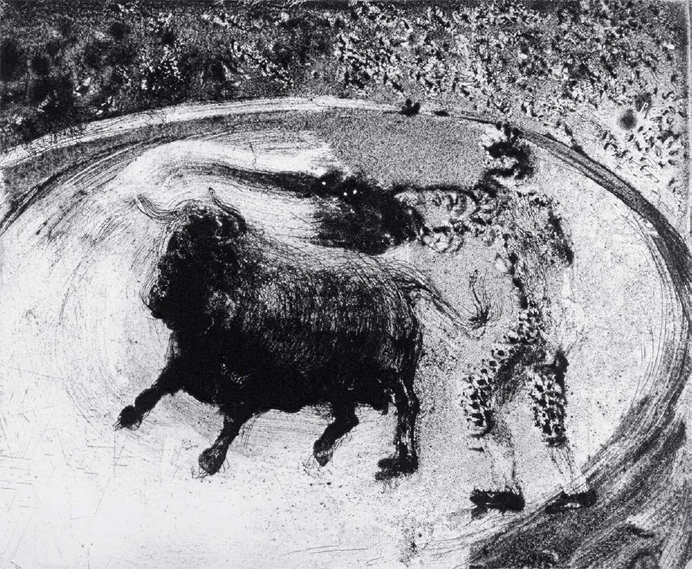 Акватинта Barcelo - Lanzarote 49