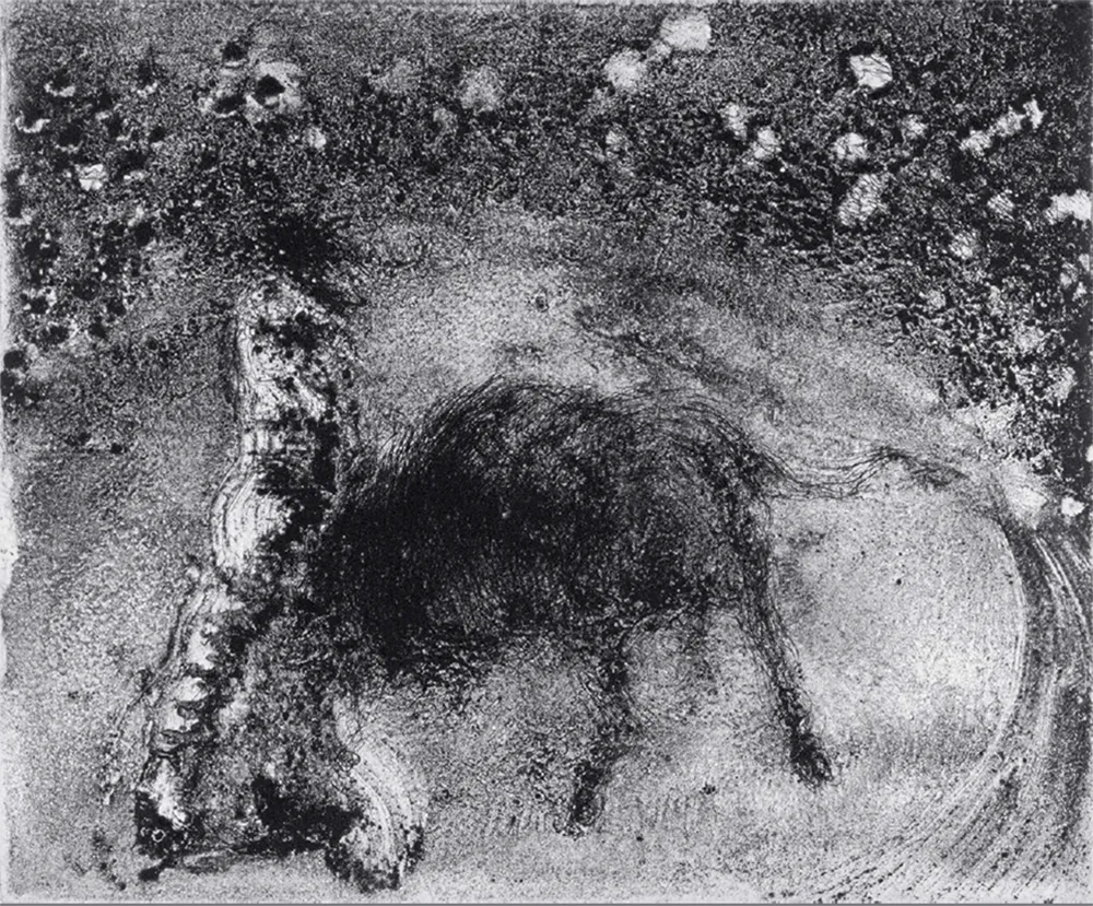 Акватинта Barcelo - Lanzarote 50