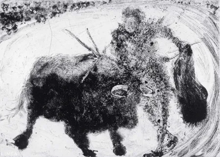 Акватинта Barcelo - Lanzarote 53