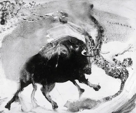 Офорт И Аквитанта Barcelo - Lanzarote 58