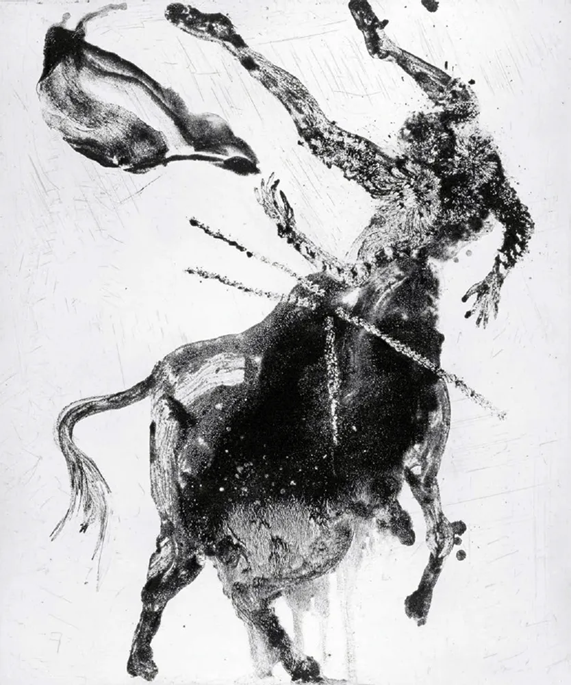 Офорт И Аквитанта Barcelo - Lanzarote 62