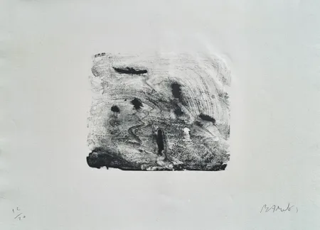 Литография Barcelo - Nocturne