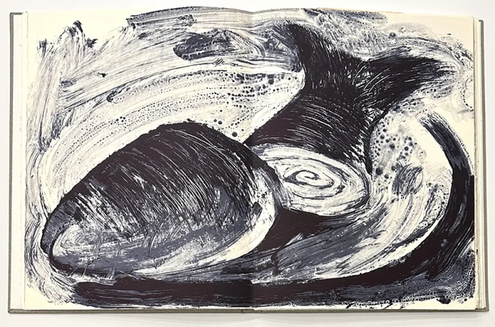 Иллюстрированная Книга Barcelo - Noise - Deluxe Edition