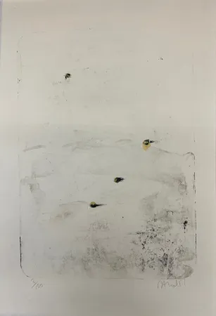 Литография Barcelo - Sekou 