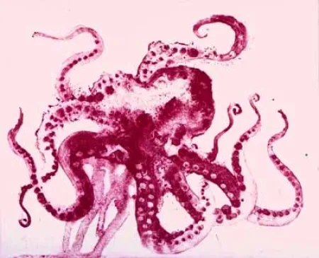 Акватинта Barcelo - Serie Lanzarote 13