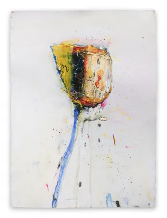 Нет Никаких Технических Baribeau - Stem #204