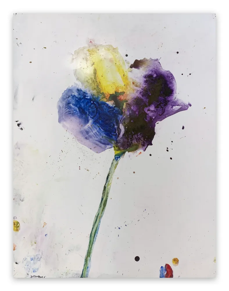 Нет Никаких Технических Baribeau - Stem #28