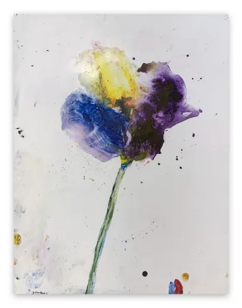 Нет Никаких Технических Baribeau - Stem #28