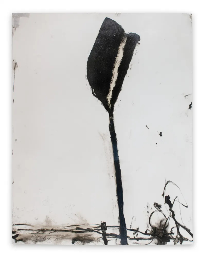 Нет Никаких Технических Baribeau - Stem in Black #1 