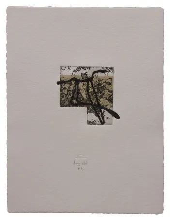 Офорт И Аквитанта Baroja-Collet - Animal