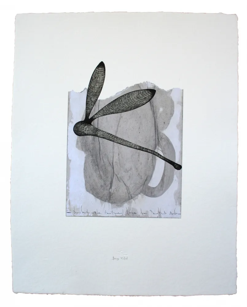 Многоэкземплярное Произведение Baroja-Collet - Collage