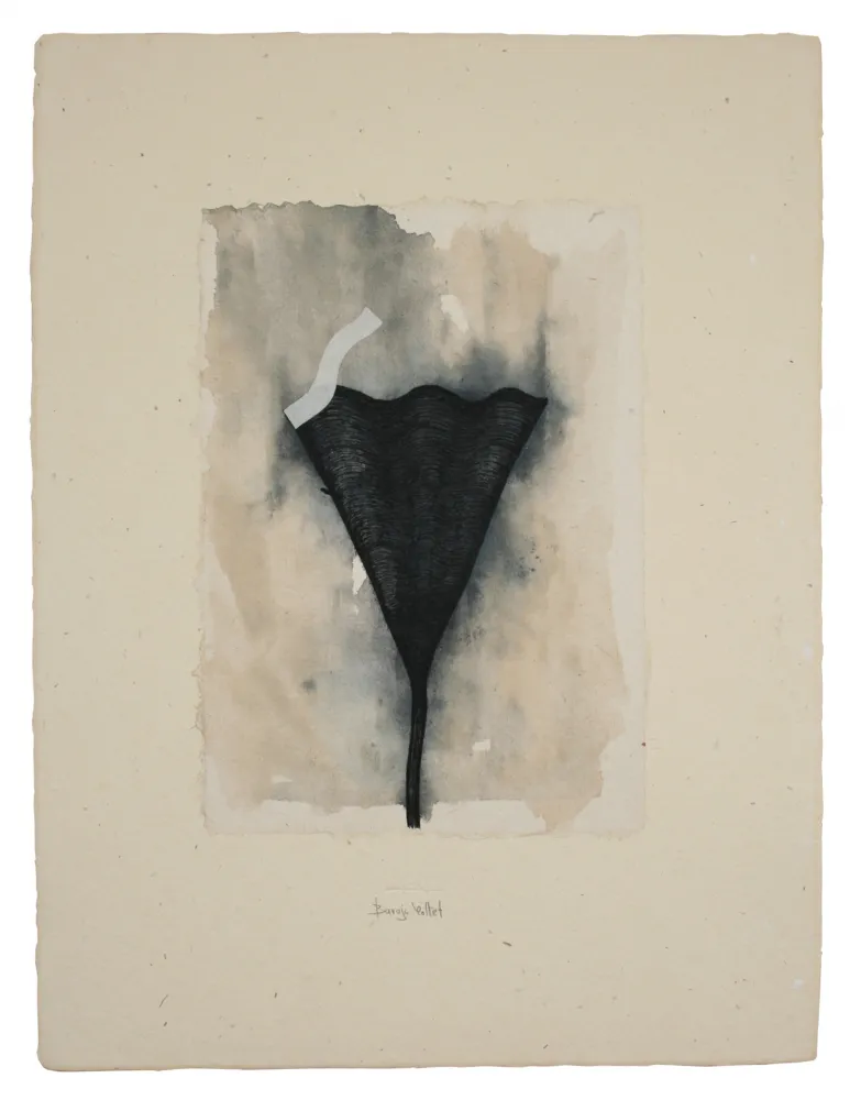 Многоэкземплярное Произведение Baroja-Collet - Collage