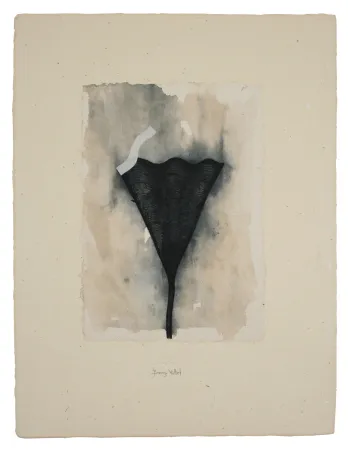 Многоэкземплярное Произведение Baroja-Collet - Collage