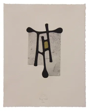 Офорт И Аквитанта Baroja-Collet - Contraseña