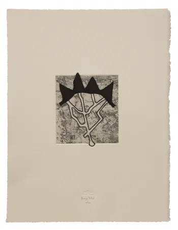 Офорт И Аквитанта Baroja-Collet - Estructurada